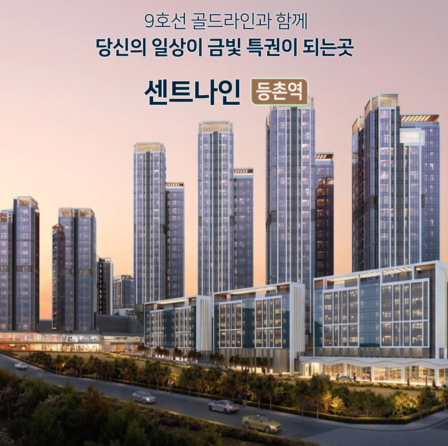 모메-1